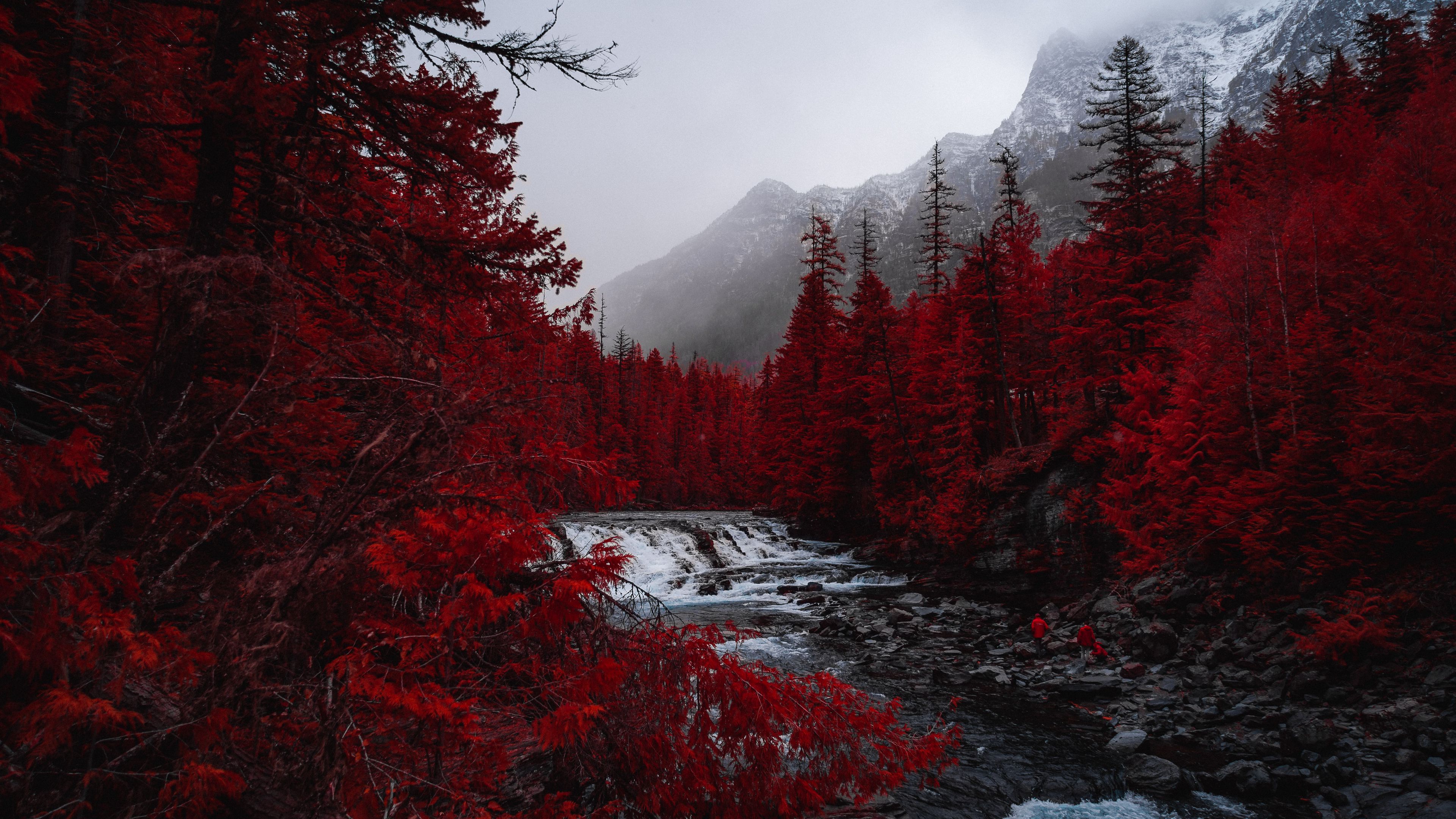 Hình nền sông, cây, núi và sương mù 3840x2160 sẽ khiến cho màn hình của bạn thêm phần hoang sơ và thú vị. Mang lại cho bạn trải nghiệm thật gần gũi với thiên nhiên tươi đẹp, đầy màu sắc và cảm xúc.