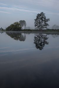 Preview wallpaper river, trees, reflection, nature, landscape, dark