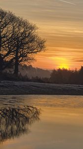 Preview wallpaper river, trees, reflection, sunrise