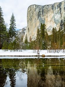 Preview wallpaper river, trees, rock, reflections, nature