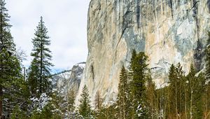 Preview wallpaper river, trees, rock, reflections, nature
