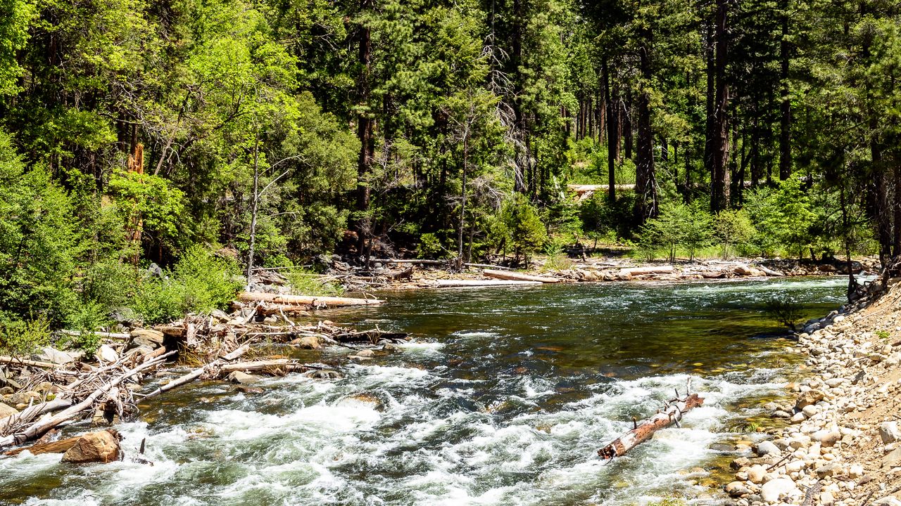 Wallpaper river, trees, rock, nature