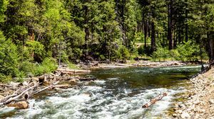 Preview wallpaper river, trees, rock, nature