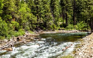 Preview wallpaper river, trees, rock, nature
