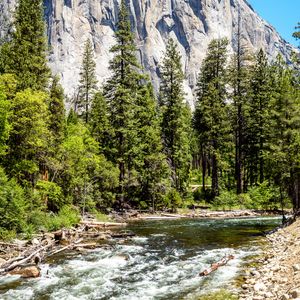 Preview wallpaper river, trees, rock, nature