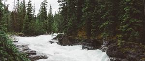 Preview wallpaper river, trees, rocks, water