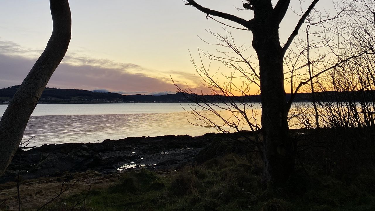 Wallpaper river, trees, shore, dusk, nature