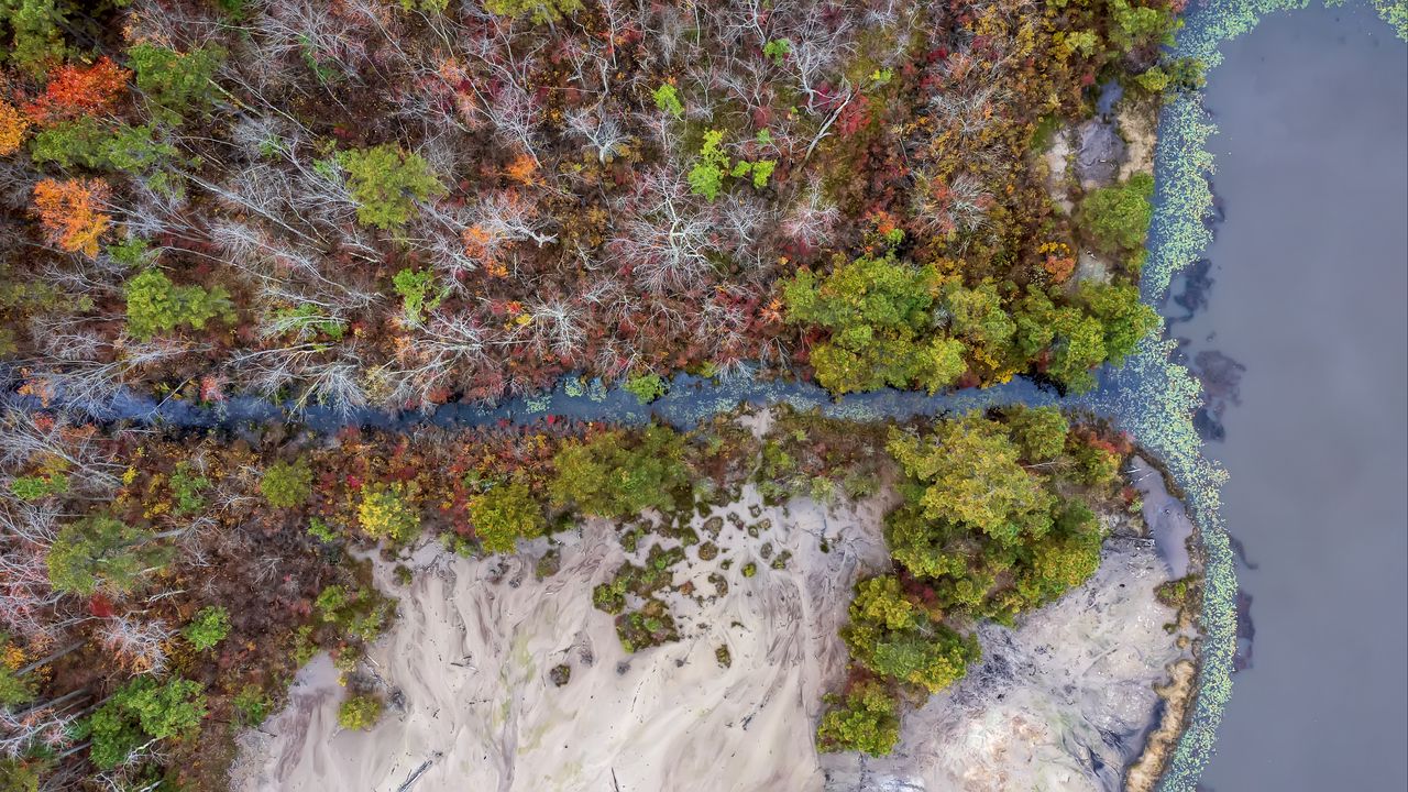 Wallpaper river, trees, shore, aerial view