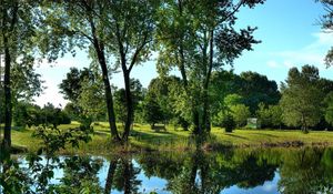 Preview wallpaper river, trees, shrubs, nature, landscape