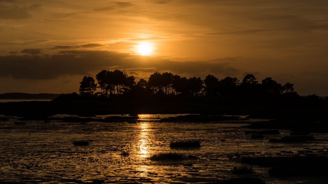 Wallpaper river, trees, silhouettes, sunset, dark