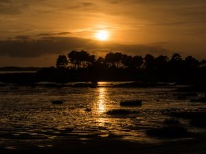Preview wallpaper river, trees, silhouettes, sunset, dark