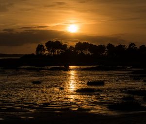 Preview wallpaper river, trees, silhouettes, sunset, dark