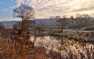 Preview wallpaper river, trees, sky, hdr