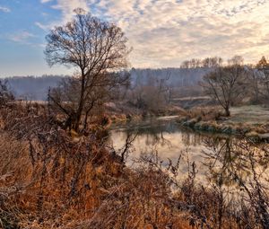 Preview wallpaper river, trees, sky, hdr