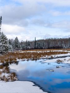 Preview wallpaper river, trees, snow, winter, landscape, nature