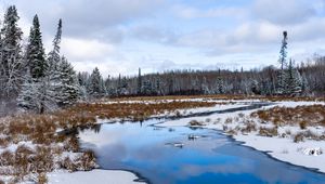 Preview wallpaper river, trees, snow, winter, landscape, nature