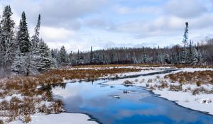 Preview wallpaper river, trees, snow, winter, landscape, nature