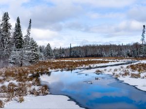 Preview wallpaper river, trees, snow, winter, landscape, nature