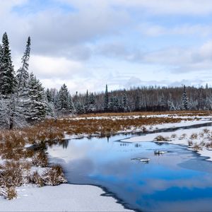 Preview wallpaper river, trees, snow, winter, landscape, nature