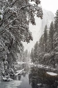 Preview wallpaper river, trees, snow, mountains, landscape, winter
