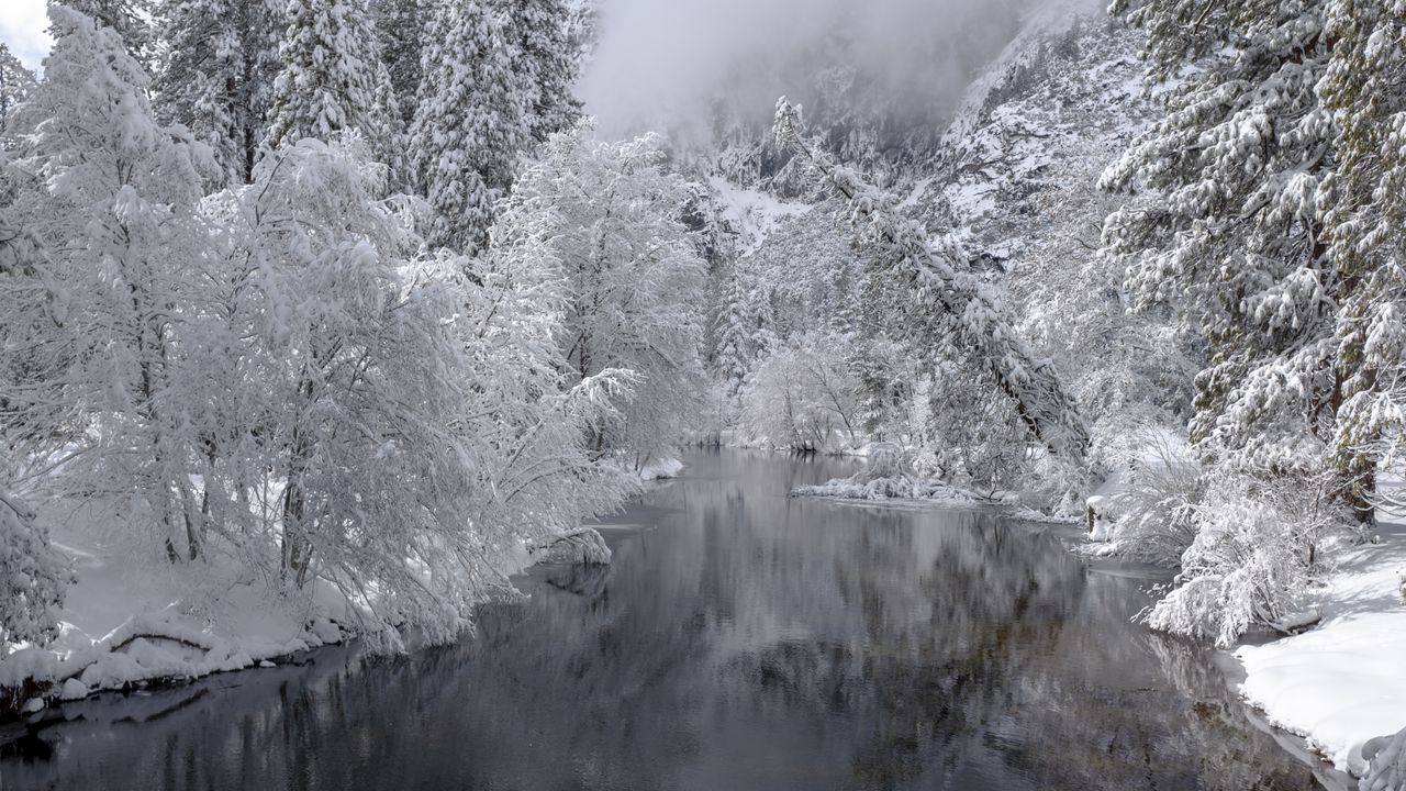 Wallpaper river, trees, snow, winter, landscape