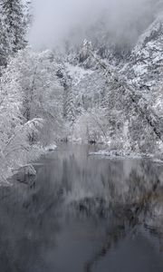 Preview wallpaper river, trees, snow, winter, landscape