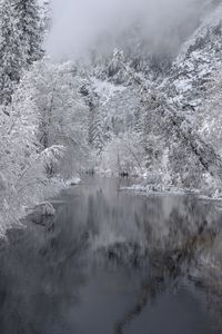 Preview wallpaper river, trees, snow, winter, landscape