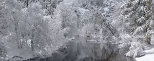 Preview wallpaper river, trees, snow, winter, landscape