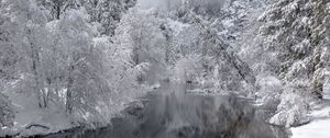 Preview wallpaper river, trees, snow, winter, landscape