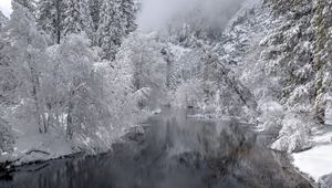 Preview wallpaper river, trees, snow, winter, landscape