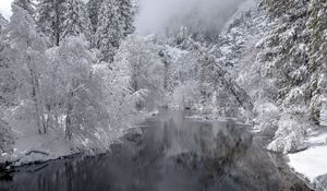 Preview wallpaper river, trees, snow, winter, landscape