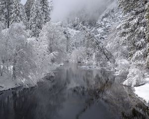 Preview wallpaper river, trees, snow, winter, landscape