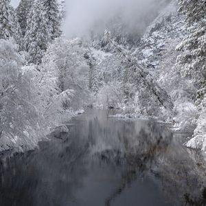 Preview wallpaper river, trees, snow, winter, landscape