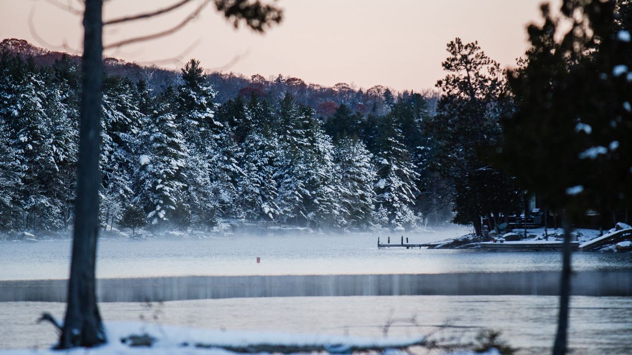 Wallpaper river, trees, snow, shore, winter