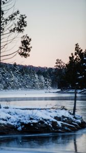 Preview wallpaper river, trees, snow, shore, winter