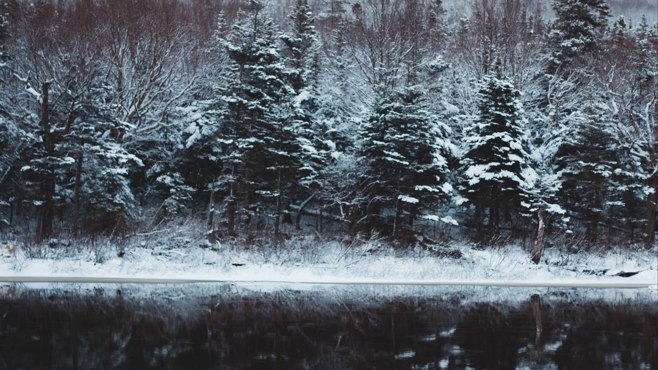 Wallpaper river, trees, snow, winter