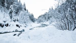 Preview wallpaper river, trees, snow, landscape, winter