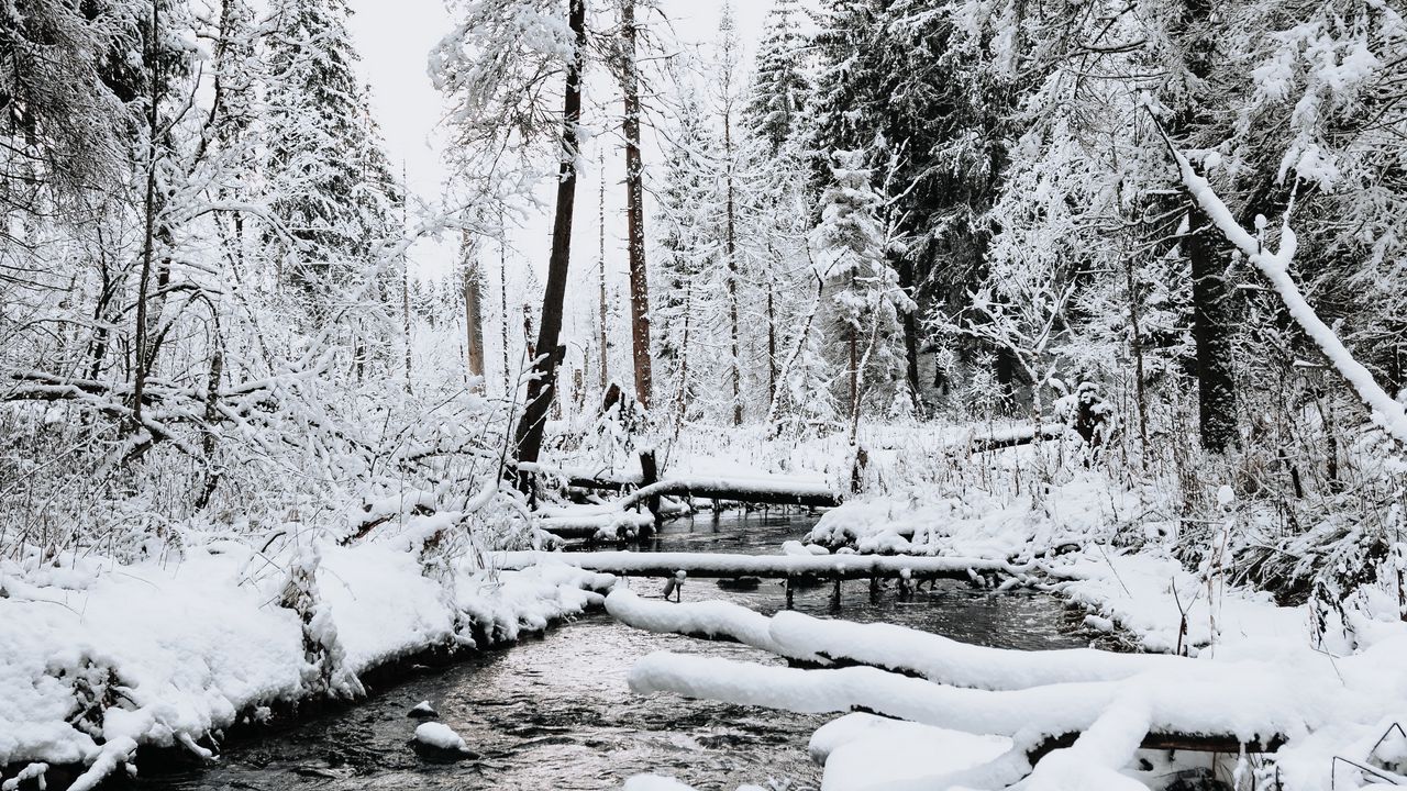 Wallpaper river, trees, snow, winter, nature, landscape