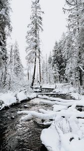 Preview wallpaper river, trees, snow, winter, nature, landscape
