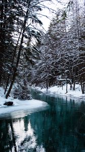 Preview wallpaper river, trees, snow, water, nature, landscape