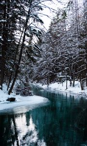 Preview wallpaper river, trees, snow, water, nature, landscape