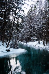 Preview wallpaper river, trees, snow, water, nature, landscape