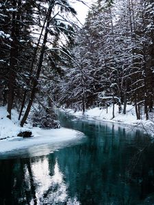 Preview wallpaper river, trees, snow, water, nature, landscape