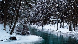 Preview wallpaper river, trees, snow, water, nature, landscape