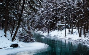 Preview wallpaper river, trees, snow, water, nature, landscape