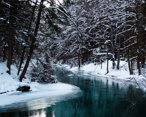 Preview wallpaper river, trees, snow, water, nature, landscape