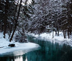 Preview wallpaper river, trees, snow, water, nature, landscape