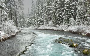 Preview wallpaper river, trees, snow, nature, winter