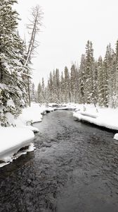 Preview wallpaper river, trees, snow, landscape, winter, nature