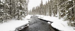 Preview wallpaper river, trees, snow, landscape, winter, nature